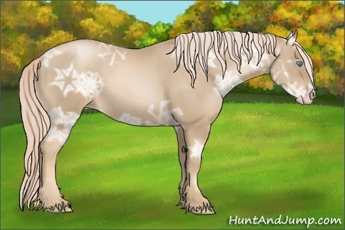Horse Color: Chocolate Palomino Ice Roan Pearl 
