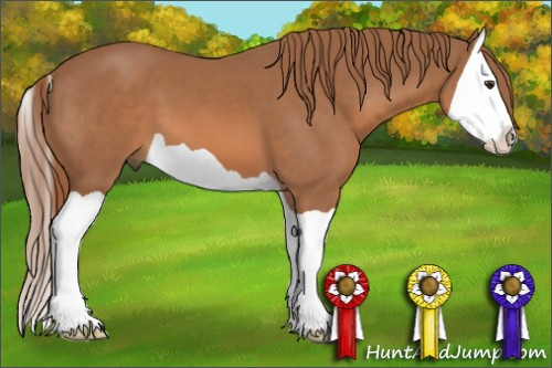 Horse Color: Liver Chestnut Splash 