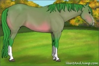 Horse Color:Watercolor Bay 