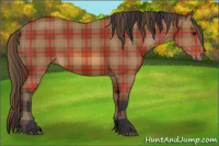 Horse Color:Plaid  Bay 