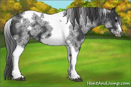 Horse Color:White Spotted Black Splash Tobiano Frame Blanket