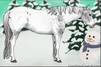 Horse Color:White Spotted Black Splash Tobiano Frame Appaloosa