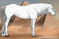 Horse Color:White Spotted Black Splash Tobiano Frame Blanket