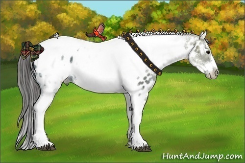 Horse Color: White Spotted Black Ice Splash Tobiano Frame Blanket 