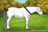 Horse Color:White Spotted Black Ice Splash Tobiano Frame Appaloosa 