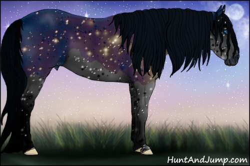 Horse Color: ERROR: UNKNOWN ANOMALY