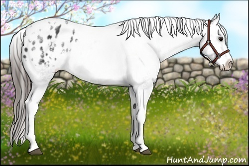 Horse Color: White Spotted Black Splash Tobiano Frame Blanket 