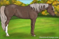 Horse Color:Silver Black 