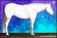Horse Color:White Spotted Bay Dun Splash Rabicano 