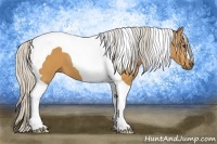 Horse Color:Silver Buckskin Tobiano