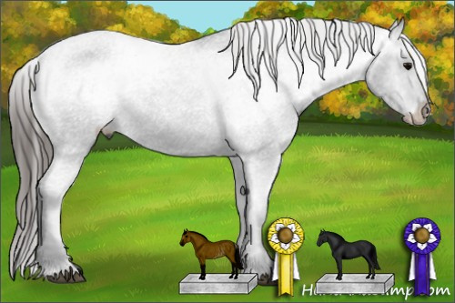 Horse Color: Black Varnish Rabicano 