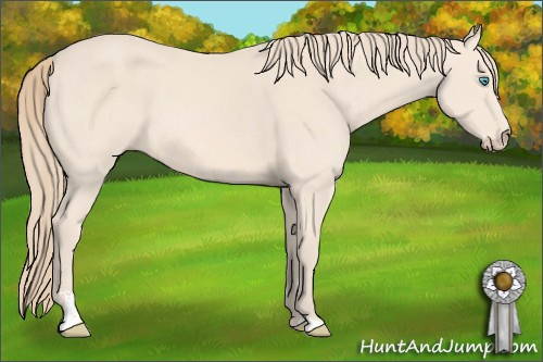 Horse Color: Perlino Sabino 