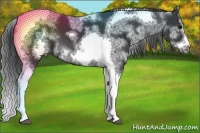 Horse Color:White Spotted Black Splash Tobiano Frame Varnish 