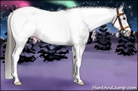 Horse Color:White Spotted Black Splash Tobiano Frame Blanket 