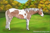 Horse Color:Silver Bay Ice Splash Tobiano 