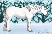 Horse Color:Gray White Spotted Chestnut Ice Splash 
