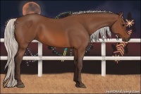 Horse Color:Silver Brown 