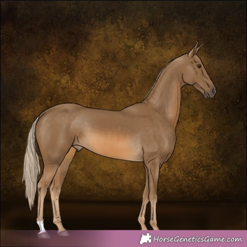Horse Color: Chocolate Palomino 