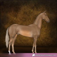 Horse Color:Chocolate Palomino 