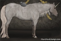 Horse Color:Silver Blue Roan 