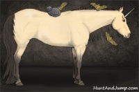 Horse Color:Buckskin Roan Dun 