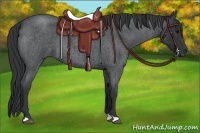 Horse Color:Blue Roan 