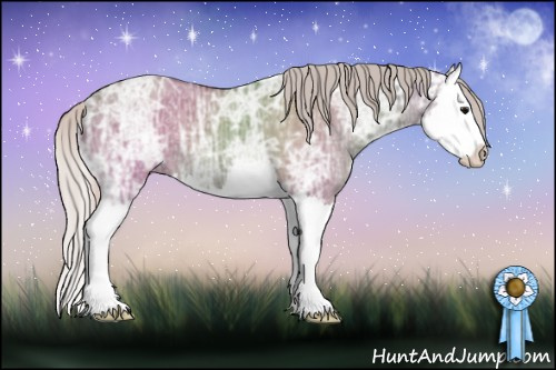 Horse Color: Silver Grullo Ice Splash 