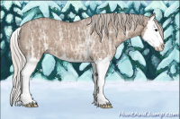 Horse Color:Silver Grullo Ice Splash 