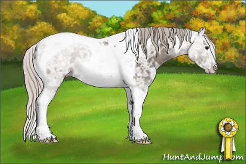 Horse Color: Silver Grullo Ice Tobiano 