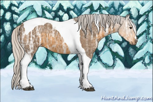 Horse Color: Silver Buckskin Ice Tobiano 