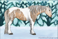 Horse Color:Silver Buckskin Ice Tobiano 