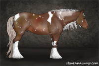 Horse Color:White Spotted Silver Brown Tobiano