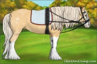 Horse Color:Palomino Splash 