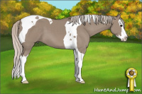 Horse Color:Silver Grullo Sabino Splash Tobiano