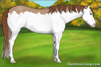 Horse Color:Liver Red Dun Splash 