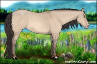 Horse Color:Amber Champagne Dun 