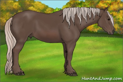 Horse Color: Silver Brown 