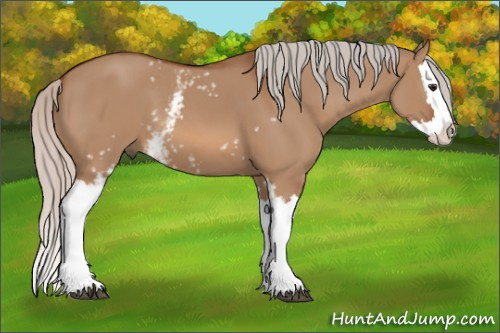 Horse Color: White Spotted Silver Bay Dun Splash 