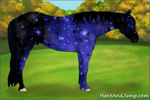 Horse Color: ERROR: UNKNOWN ANOMALY