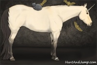 Horse Color:Buckskin Roan Dun 