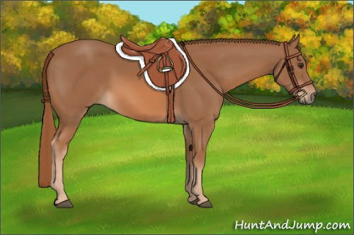 Horse Color: Chestnut 