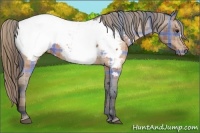 Horse Color:Plaid  Brown Snowcap 