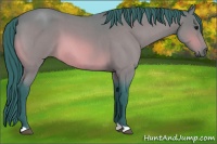 Horse Color:Watercolor Bay Roan 