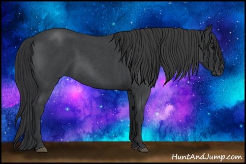 Horse Color: Blue Roan Rabicano 