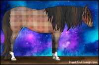 Horse Color:Plaid  Bay Roan 