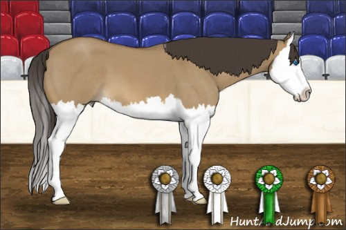 Horse Color: Buckskin Roan Dun Splash 