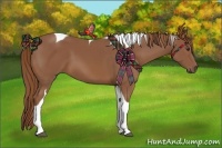 Horse Color:Chestnut Tobiano 
