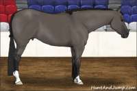 Horse Color:Gray Smoky Grullo 
