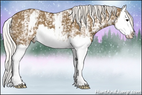 Horse Color: White Spotted Silver Smoky Black Splash 