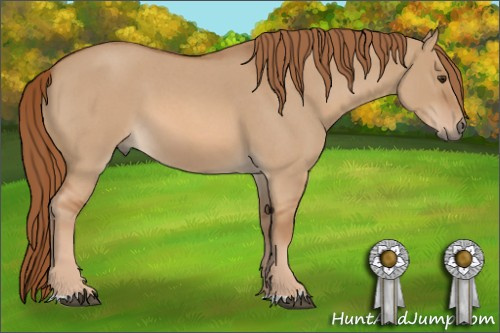Horse Color: Red Dun Roan 